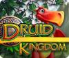 Druid Kingdom המשחק