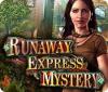 Runaway Express Mystery המשחק