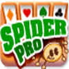 Spider Pro המשחק