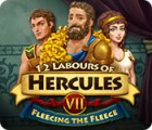 12 Labours of Hercules VII: Fleecing the Fleece המשחק