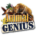 Animal Genius המשחק