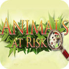 Animals At Risk המשחק