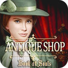 Antique Shop: Book Of Souls המשחק