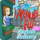 Avenue Flo: Special Delivery המשחק
