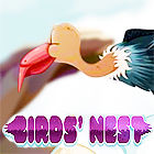 Birds Nest המשחק