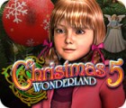 Christmas Wonderland 5 המשחק