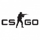 Counter-Strike: Global Offensive המשחק