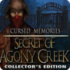Cursed Memories: The Secret of Agony Creek Collector's Edition המשחק