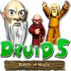 Druid's Battle of Magic המשחק