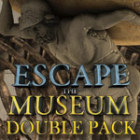 Escape the Museum Double Pack המשחק