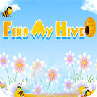 Find My Hive המשחק