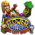 Flower Shop: Big City Break המשחק
