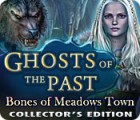 Ghosts of the Past: Bones of Meadows Town Collector's Edition המשחק