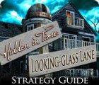 Hidden in Time: Looking-glass Lane Strategy Guide המשחק