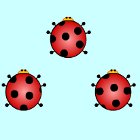 Ladybug Pair Up המשחק