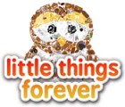 Little Things Forever המשחק