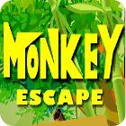 Monkey Escape המשחק