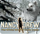 Nancy Drew: The White Wolf of Icicle Creek המשחק