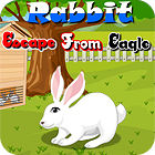 Rabbit Escape From Eagle המשחק