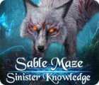 Sable Maze: Sinister Knowledge Collector's Edition המשחק