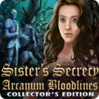 Sister's Secrecy: Arcanum Bloodlines Collector's Edition המשחק