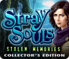 Stray Souls: Stolen Memories Collector's Edition המשחק