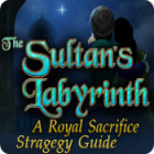 The Sultan's Labyrinth: A Royal Sacrifice Strategy Guide המשחק