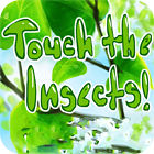 Touch the Insects המשחק