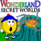 Wonderland Secret Worlds המשחק