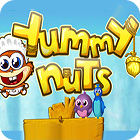Yummy Nuts המשחק