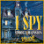 I Spy: Spooky Mansion המשחק