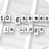 10 Gnomes in Liege המשחק