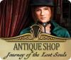 Antique Shop: Journey of the Lost Souls המשחק