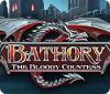 Bathory: The Bloody Countess המשחק