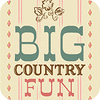 Big Country Fun המשחק