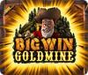 Big Win Goldmine המשחק