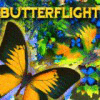 Butterflight המשחק