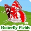 Butterfly Fields המשחק