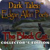 Dark Tales: Edgar Allan Poe's The Black Cat Collector's Edition המשחק