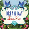 Dream Day True Love המשחק