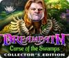 Dreampath: Curse of the Swamps Collector's Edition המשחק