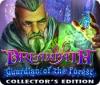 Dreampath: Guardian of the Forest Collector's Edition המשחק