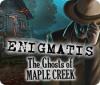 Enigmatis: The Ghosts of Maple Creek המשחק