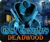 Ghost Encounters: Deadwood המשחק