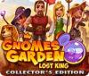 Gnomes Garden: Lost King Collector's Edition המשחק