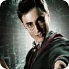 Harry Potter: Fight the Death Eaters המשחק