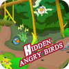 Hidden Angry Birds המשחק