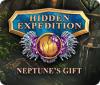 Hidden Expedition: Neptune's Gift המשחק