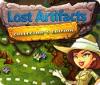 Lost Artifacts Collector's Edition המשחק