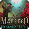 Maestro: Notes of Life Collector's Edition המשחק